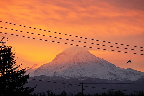 Mt Rainier